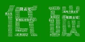 高遠(yuǎn)路業(yè)邀您共享低碳“盛宴”