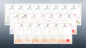 高遠路業：234項專利助推企業發展